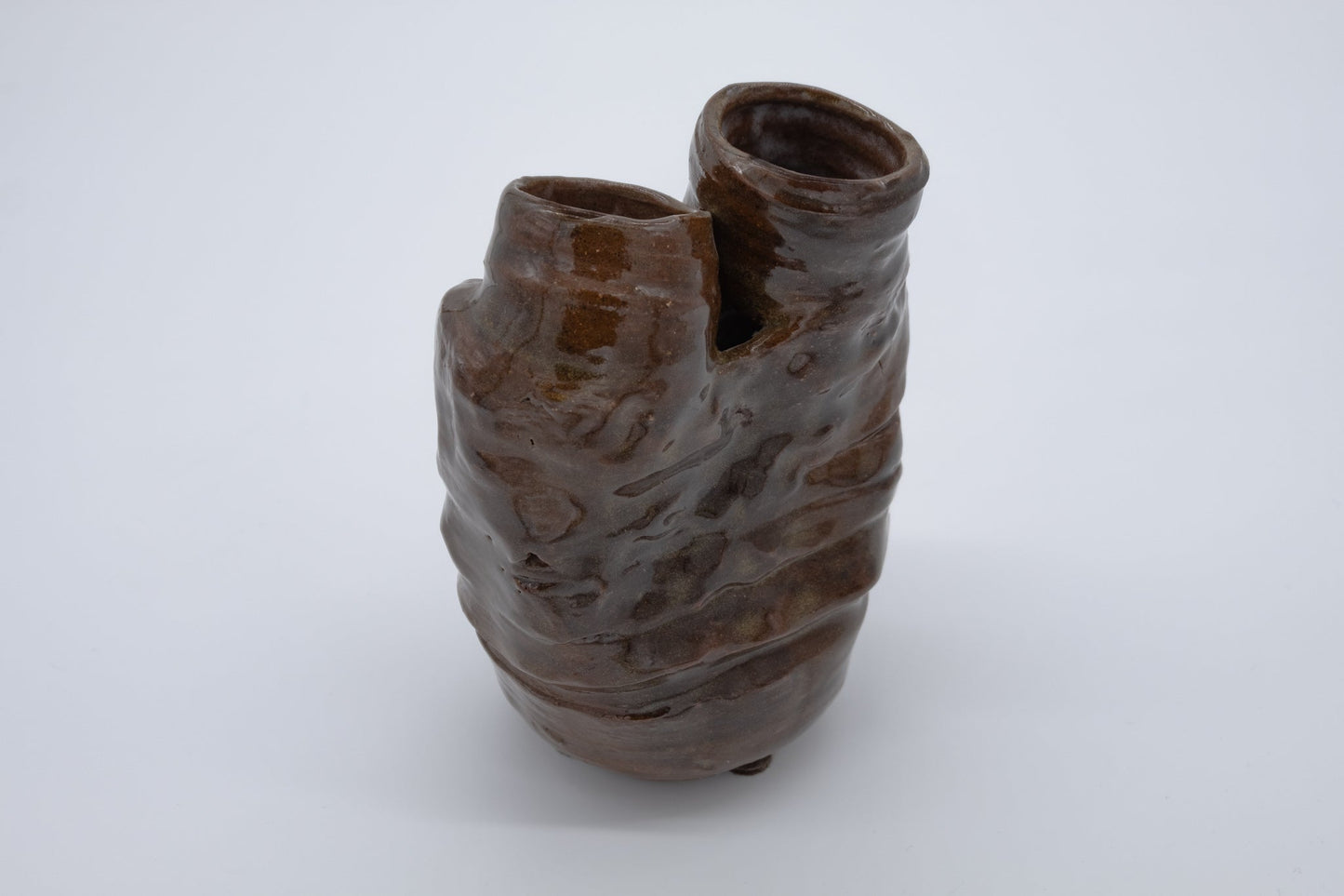 Glossy studio art ceramic vase with dual necks and organic shape reminiscent of sea coral or artery valves.