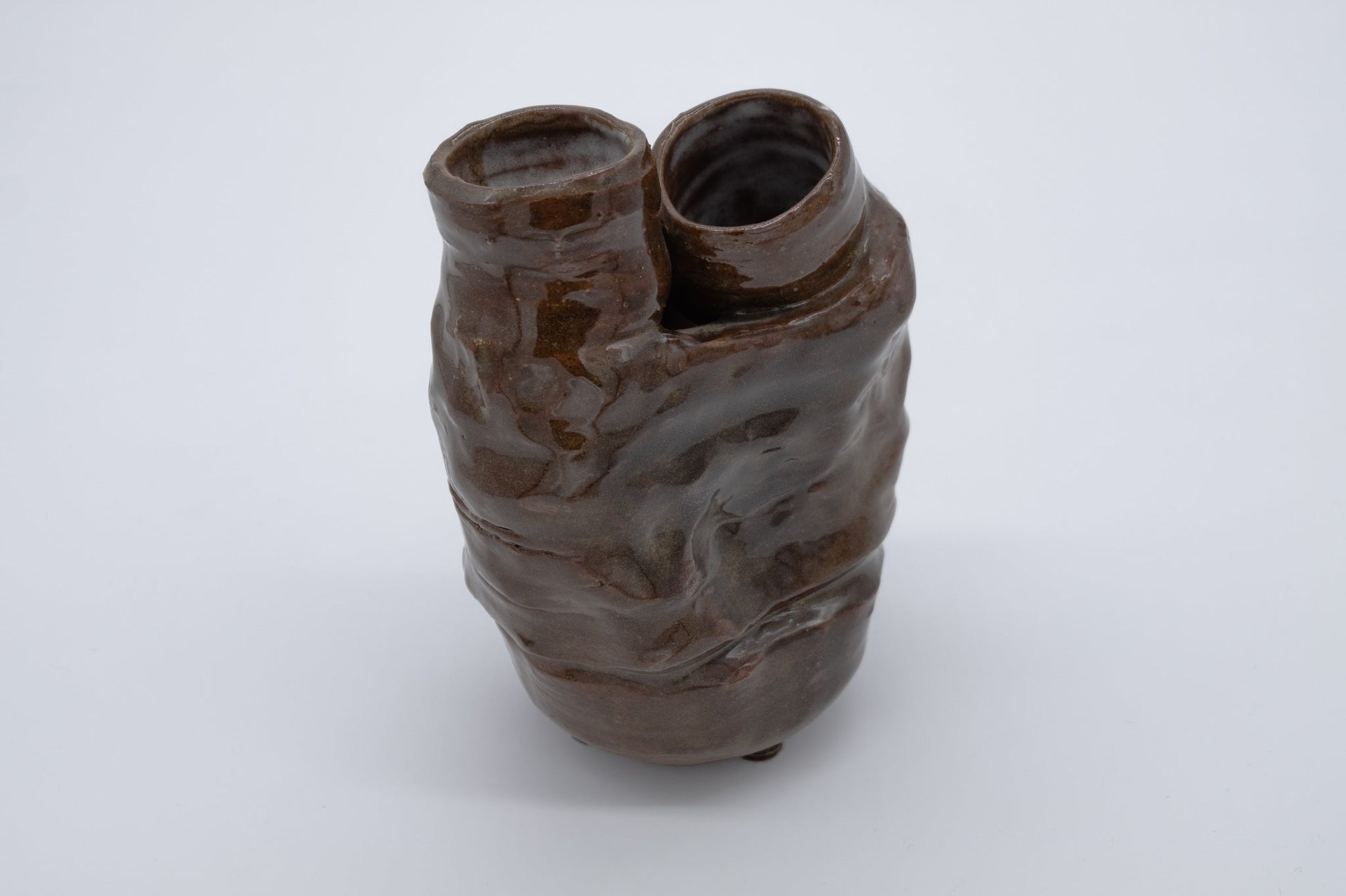 Glossy studio art ceramic vase with dual necks and organic form resembling coral or artery valves signed on bottom.