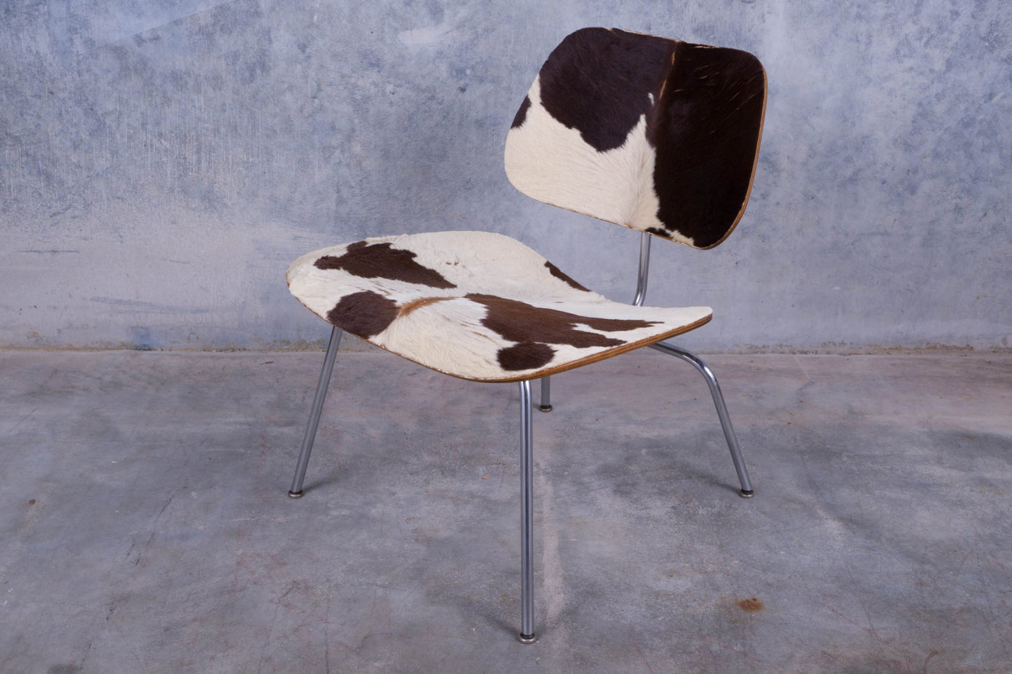 Charles Eames lounge chair with molded plywood frame and cowhide upholstery on metal legs, circa 1951-1952.