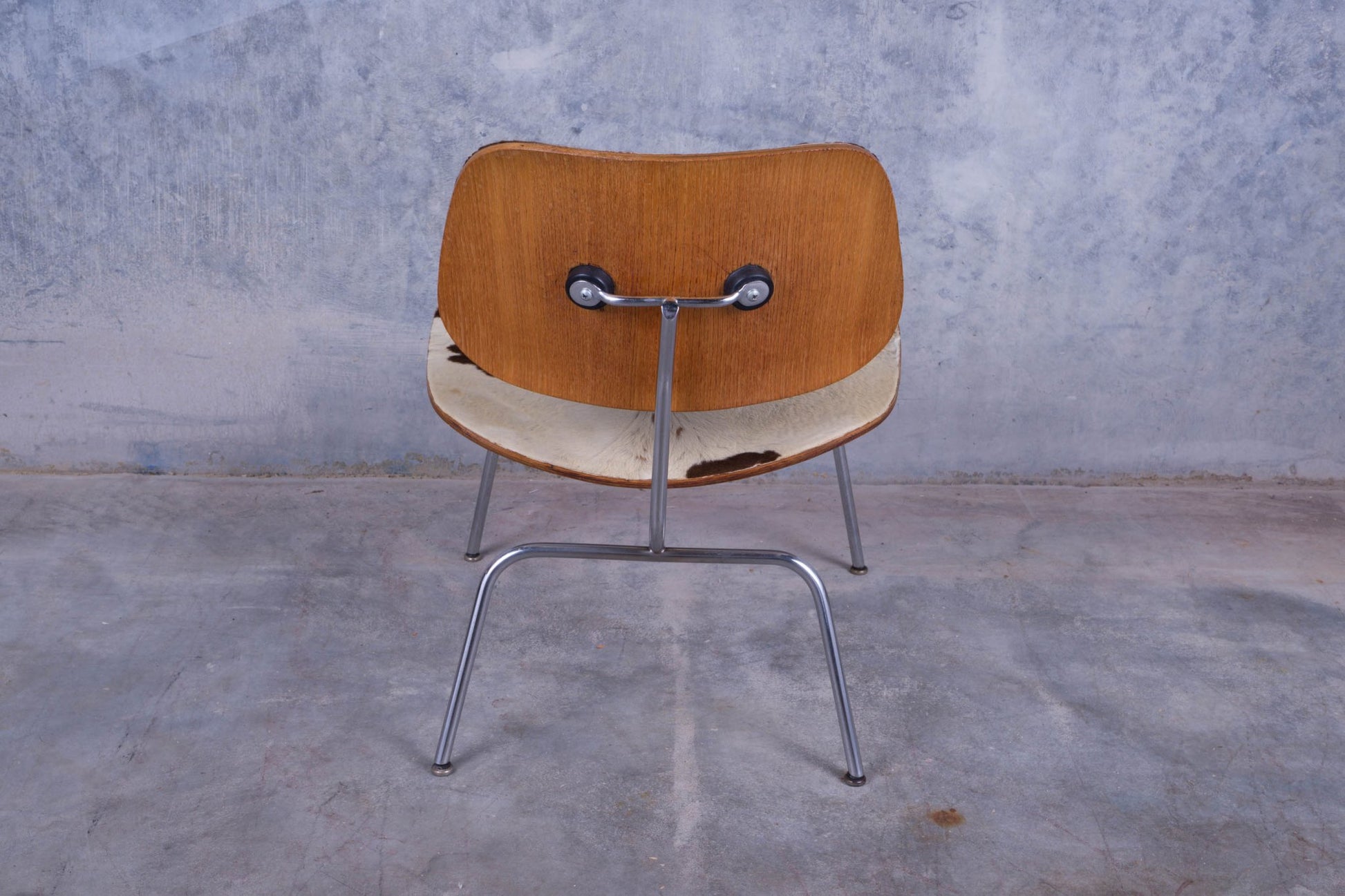 Rear view of Charles Eames cowhide lounge chair with molded plywood back and metal legs on concrete floor